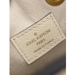 Louis Vuitton exclusive starting model: M45716